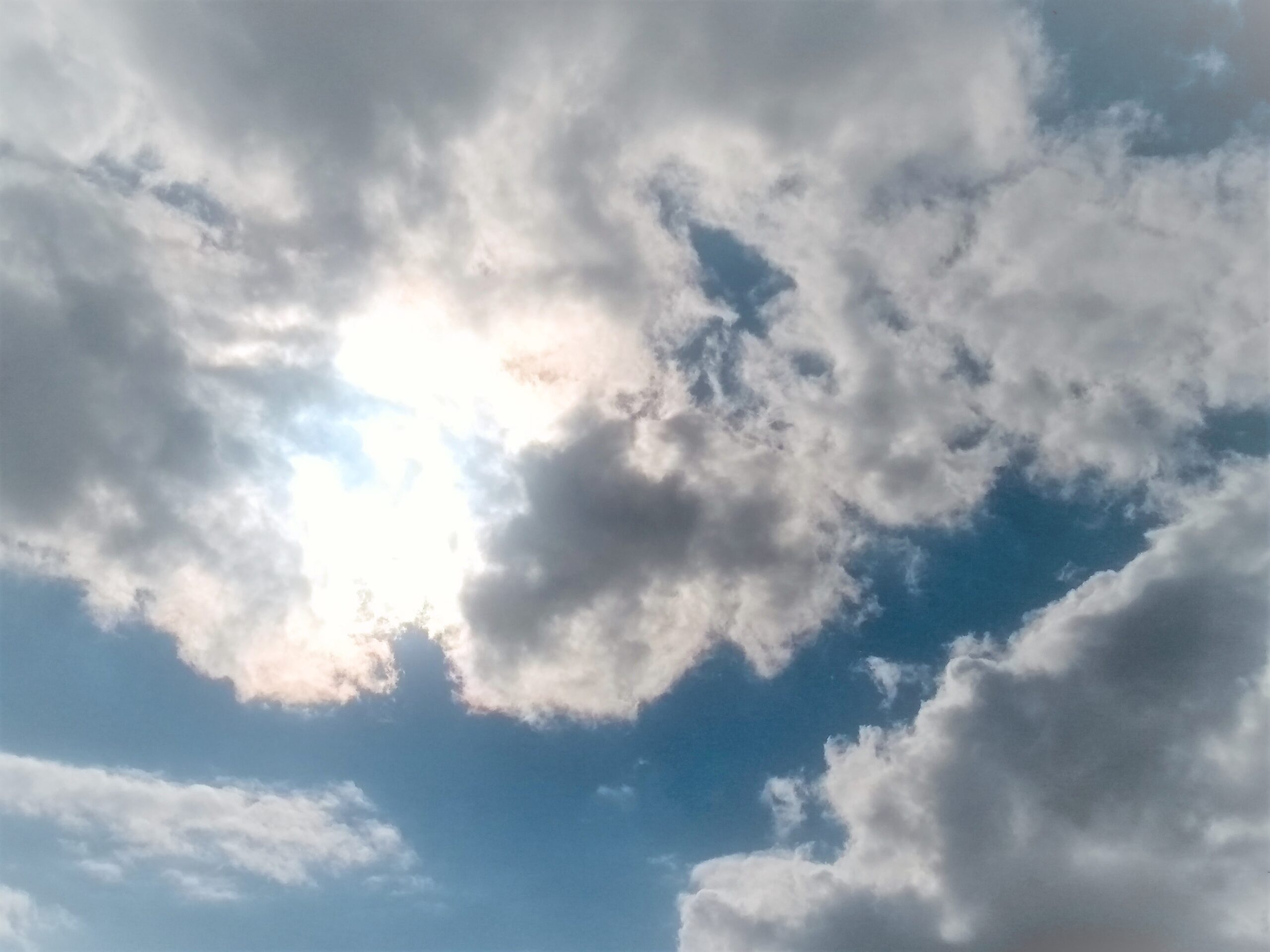 img_20200818_171539109_2