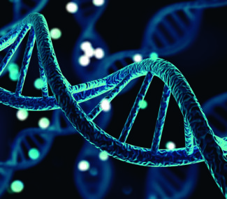 Les effets biologiques des rayonnements ionisants