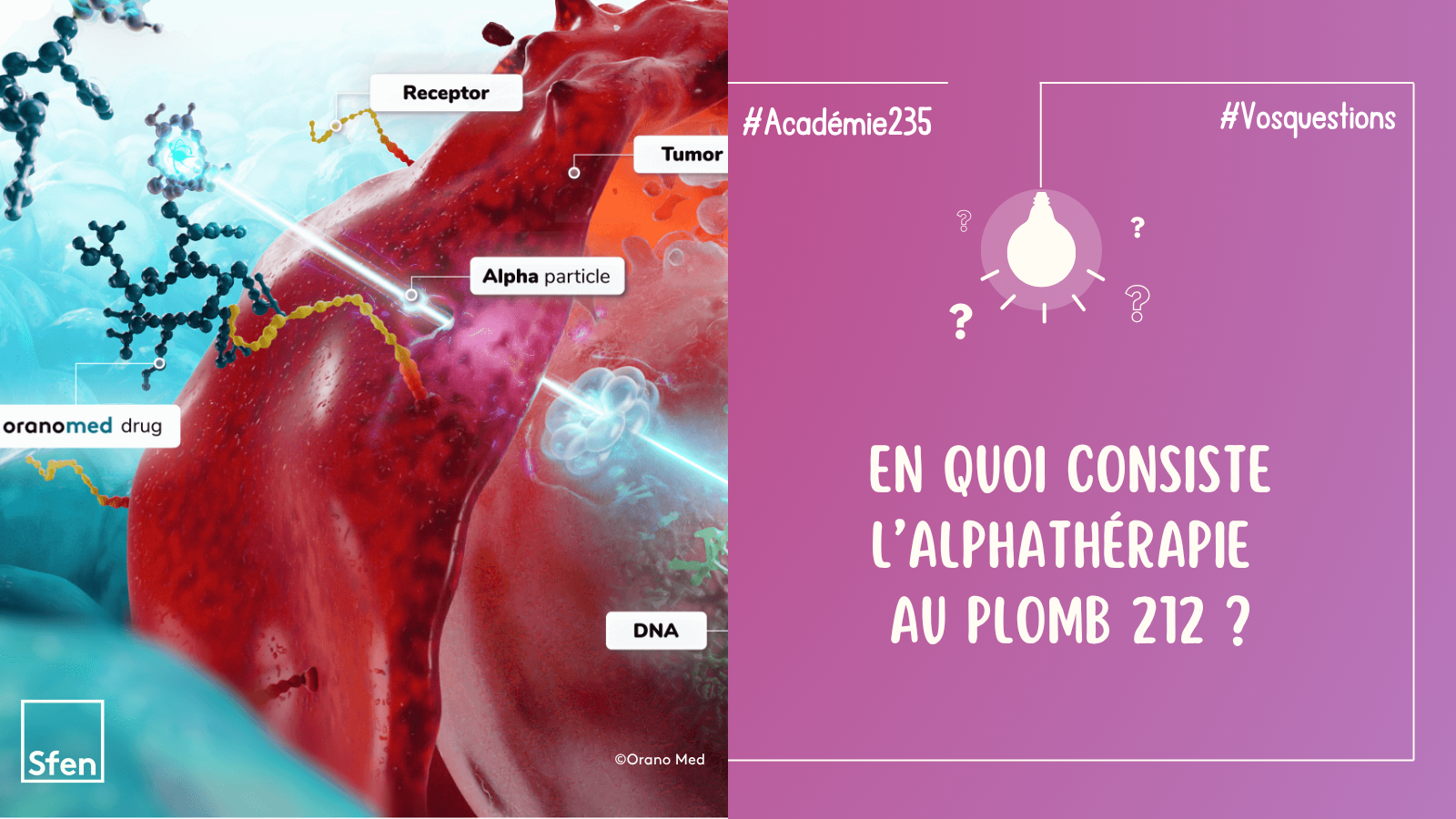 bannière_Alphathérapie