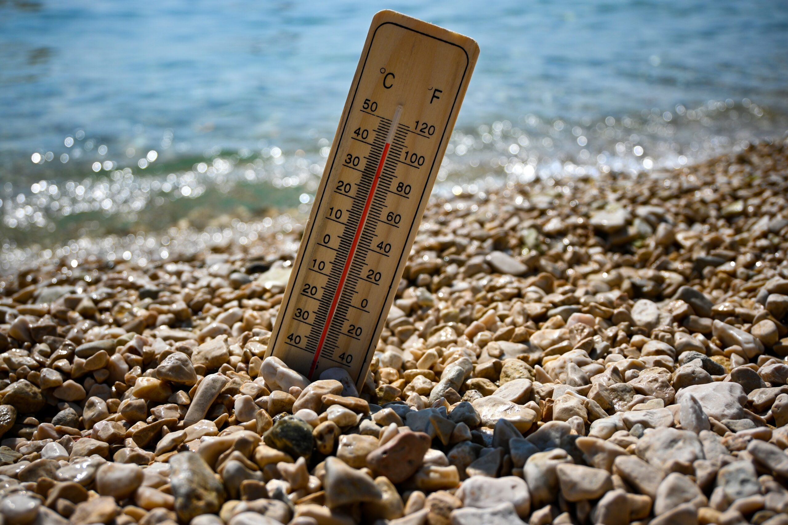 Comment les centrales nucléaires font-elles face aux épisodes de canicule ?